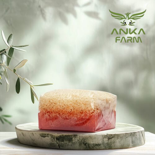 Kabak Lifli Çilekli Sabun