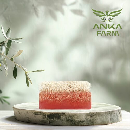 Kabak Lifli Güllü Sabun