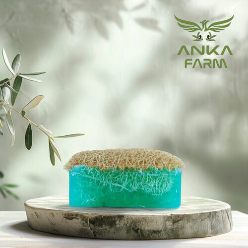 Kabak Lifli Okyanus Esanslı Sabun