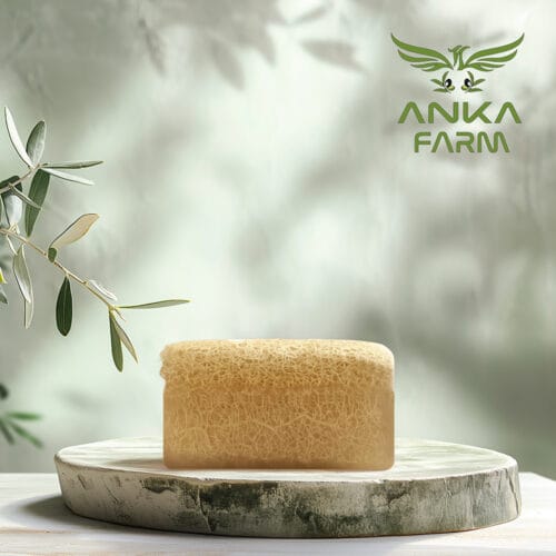 Kabak Lifli Pirinçli Sabun